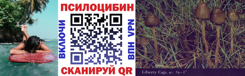 закладки  Княгинино  Псилоцибиновые грибы Magic Shrooms 